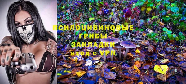 метадон Сатка