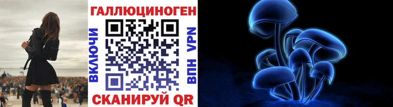 магазин продажи   Ворсма  omg маркетплейс  Галлюциногенные грибы Cubensis 